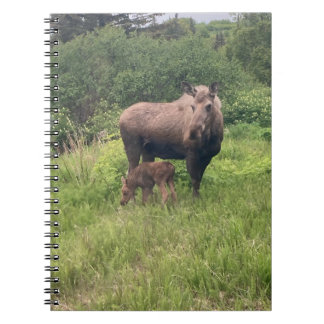 Caderno Espiral Alce Mãe e Filhote