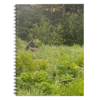 Caderno Espiral Alce no notebook de grama