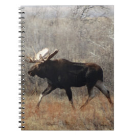 Caderno Espiral Alce Touro M10