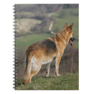 Caderno Espiral Alemão Shephard que olha abaixo do monte
