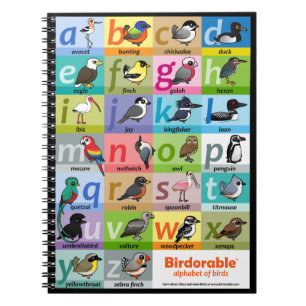 Caderno Espiral Alfabeto Birdorável de Aves