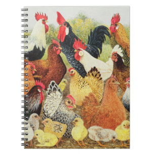 Caderno Espiral Algo cantar aproximadamente