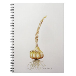 Caderno Espiral alho 1998
