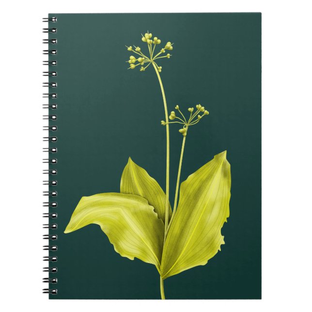 Caderno Espiral Alho Silvestre Planta Verde Amante da Natureza Bot (Frente)