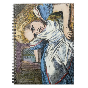 CADERNO ESPIRAL ALICE NO PAÍS DE AS MARAVILHAS