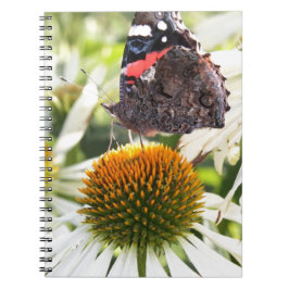 Caderno Espiral Almirante Borboleta sobre Flor