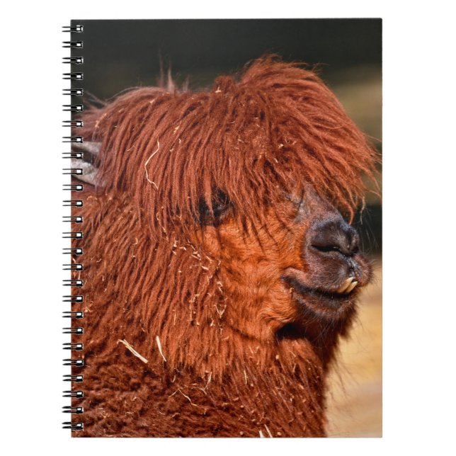 Caderno Espiral Alpaca (Frente)