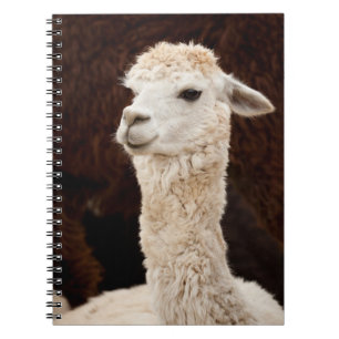 Caderno Espiral Alpaca
