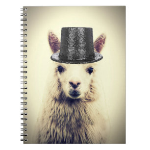 Caderno Espiral Alpaca com Cartola