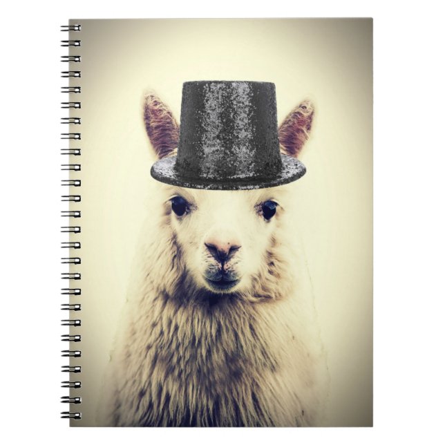 Caderno Espiral Alpaca com Cartola (Frente)