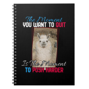 Caderno Espiral Alpaca Llama - Encorajar Mais