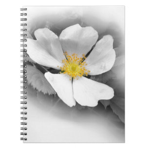 Caderno Espiral amarelo em tons de cinza