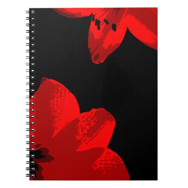 Caderno Espiral amarillis duo (Frente)
