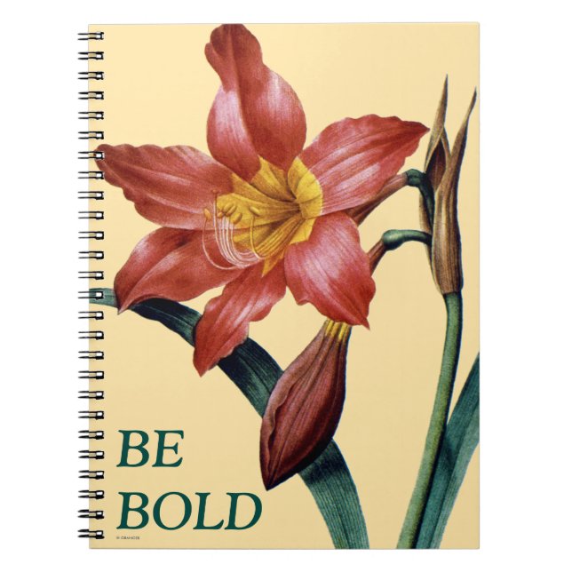 Caderno Espiral Amaryllis (Frente)