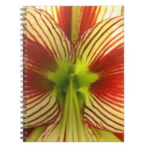 Caderno Espiral Amaryllis da borboleta