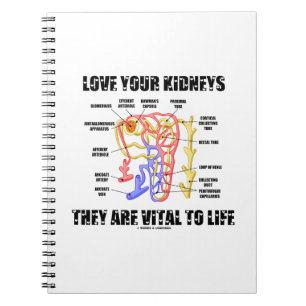 Caderno Espiral Ame seus rins que são vitais à vida (Nephron)