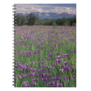 Caderno Espiral América do Norte, EUA, Alasca, Anchorage, Eklutna