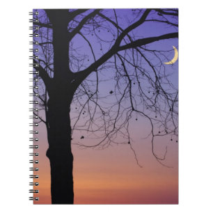 Caderno Espiral América do Norte, EUA, Flórida, Mt. Dora, o
