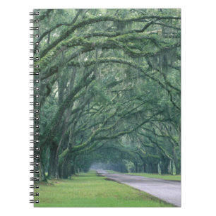 Caderno Espiral América do Norte, EUA, Geórgia, Savannah,