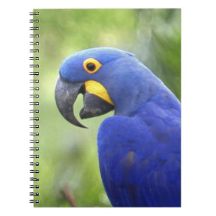 Caderno Espiral América do Sul, Brasil, Pantanal