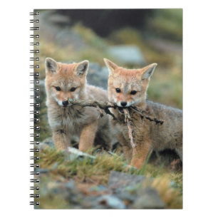 Caderno Espiral América do Sul, Chile, Torres del Paine Nacional