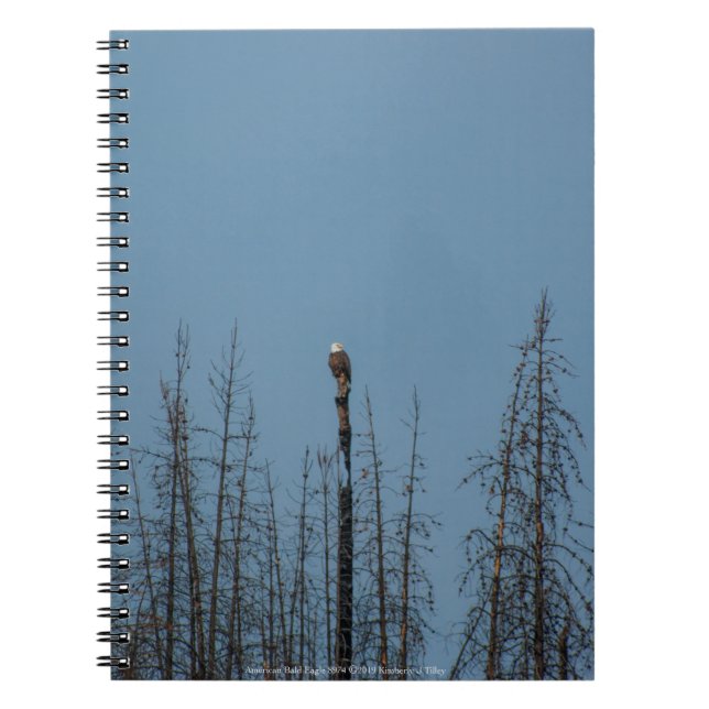 Caderno Espiral American Bald Eagle 8974 (Frente)