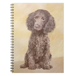 Caderno Espiral American Water Spaniel Painting - Arte Original de