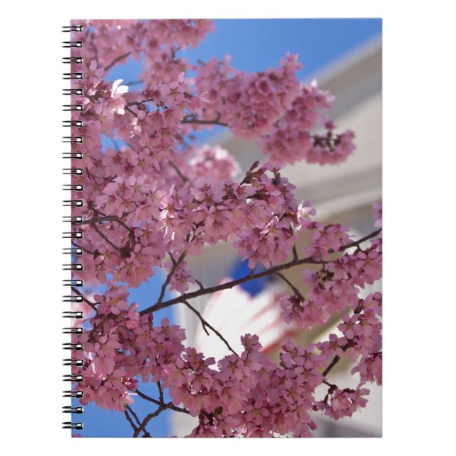 Caderno Espiral Americana Sakura Cherry Blossoms (Frente)