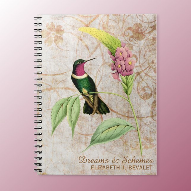 Caderno Espiral Ametist Throated Hummingbird (Criador carregado)