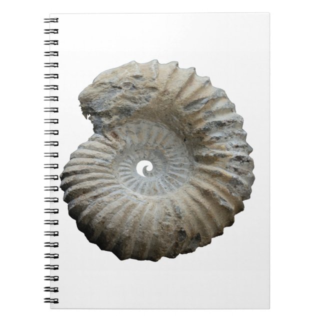 Caderno Espiral amonite (Frente)