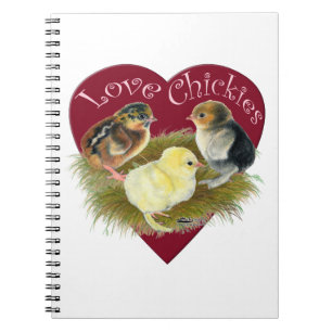 Caderno Espiral Amor Chickies