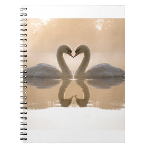 Caderno Espiral Amor da cisne