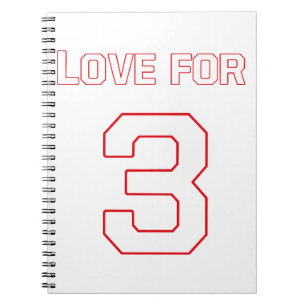 CADERNO ESPIRAL AMOR POR 3