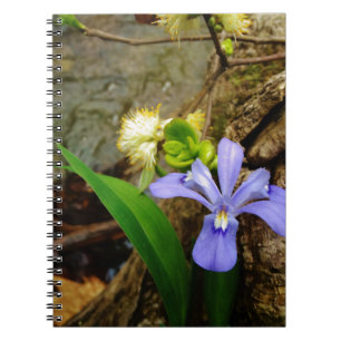 Caderno Espiral Anã-Caverna-Iris, flor branca púrpura azul-púrpura