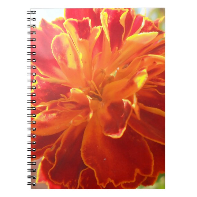 Caderno Espiral Anastelino (Frente)