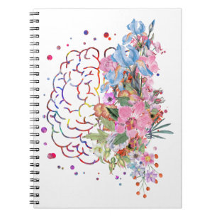 Caderno Espiral Anatomia cerebral