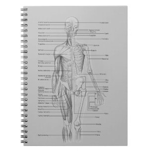 Caderno Espiral Anatomia cinzenta