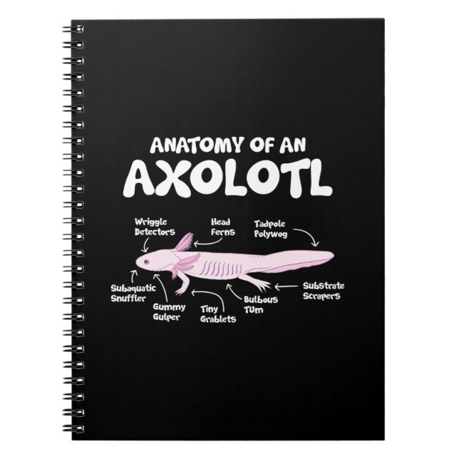 Caderno Espiral anatomia de axolotl axolotls biology science (Frente)