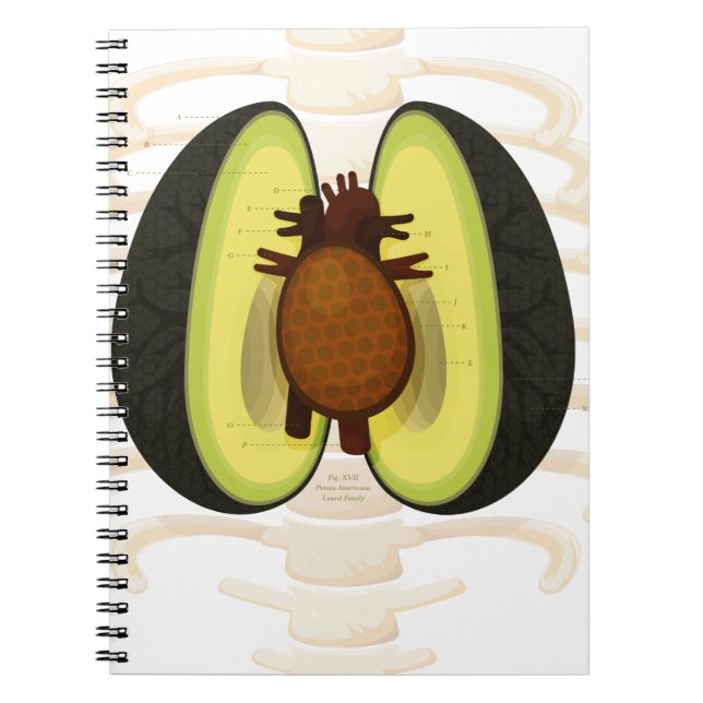 Caderno Espiral Anatomia de um abacate (Frente)