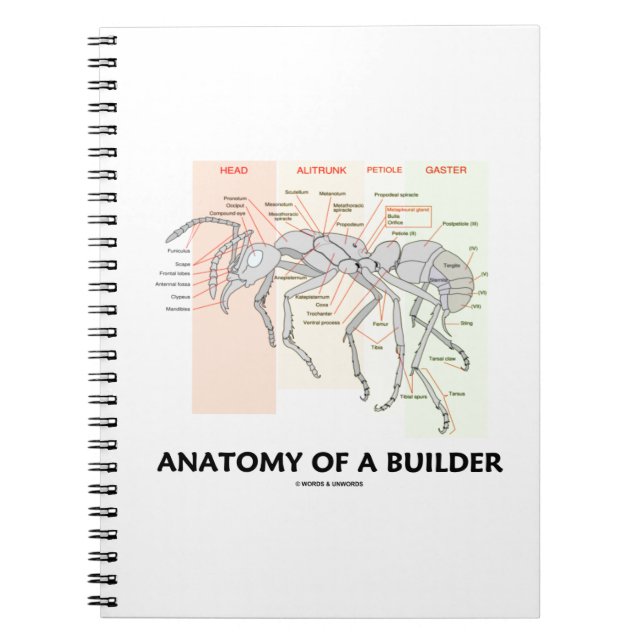 Caderno Espiral Anatomia De Um Construtor (Anatomia Do Trabalhador (Frente)
