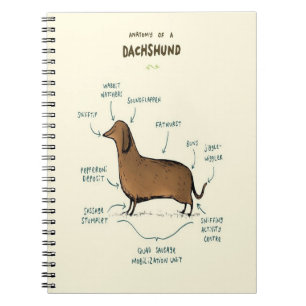Caderno Espiral Anatomia De Um Dachshund Pássaros De Cães Dachsh