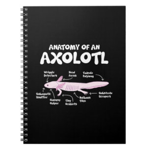 Caderno Espiral anatomia de uma axolotl axolotls biology science