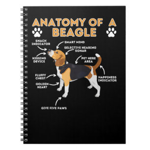 Caderno Espiral Anatomia Do Cachorro Da Beagle Funny Dog Lo
