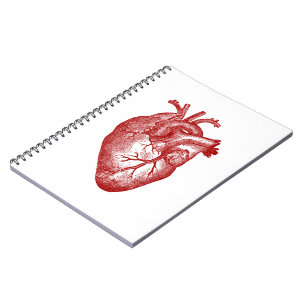 Caderno Espiral Anatomia do coração do vintage