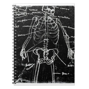 Caderno Espiral anatomia do esqueleto humano yaie tokyo