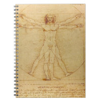 Anatomia do homem de Leonardo da Vinci Vitruvian