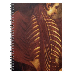 Caderno Espiral Anatomia/Esqueleto da Mulher