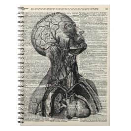 Caderno Espiral Anatomia humana médica