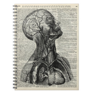 Caderno Espiral Anatomia humana médica