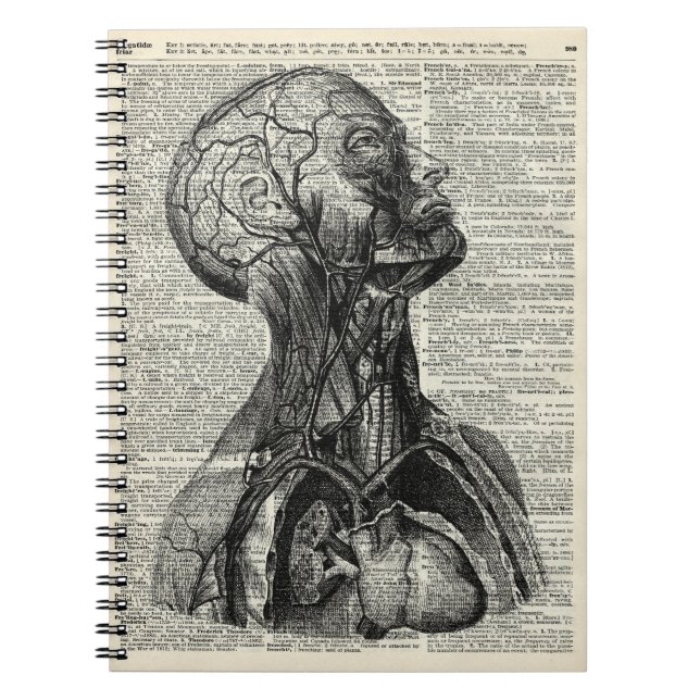 Caderno Espiral Anatomia humana médica (Frente)